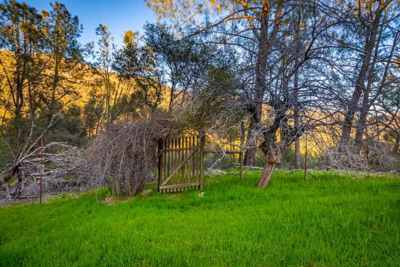 Sierra Vista Lookout Lodge With Creek, Waterfall And Waterholes, Minutes From Bass Lake And Yosemite South Gate North Fork Luaran gambar